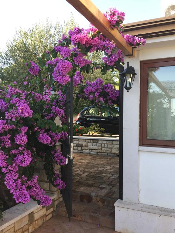 Vera Bed And Breakfast Valizza Esterno foto